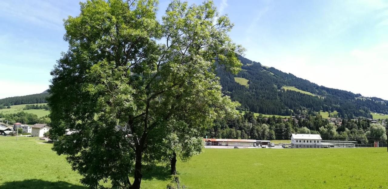 Appartement Sonnentraum Westendorf Esterno foto